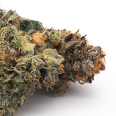 Super Sonic Indoor THCa Flower - 5g - Plants
